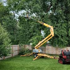 Best Lawn Mowing  in Forked River, NJ